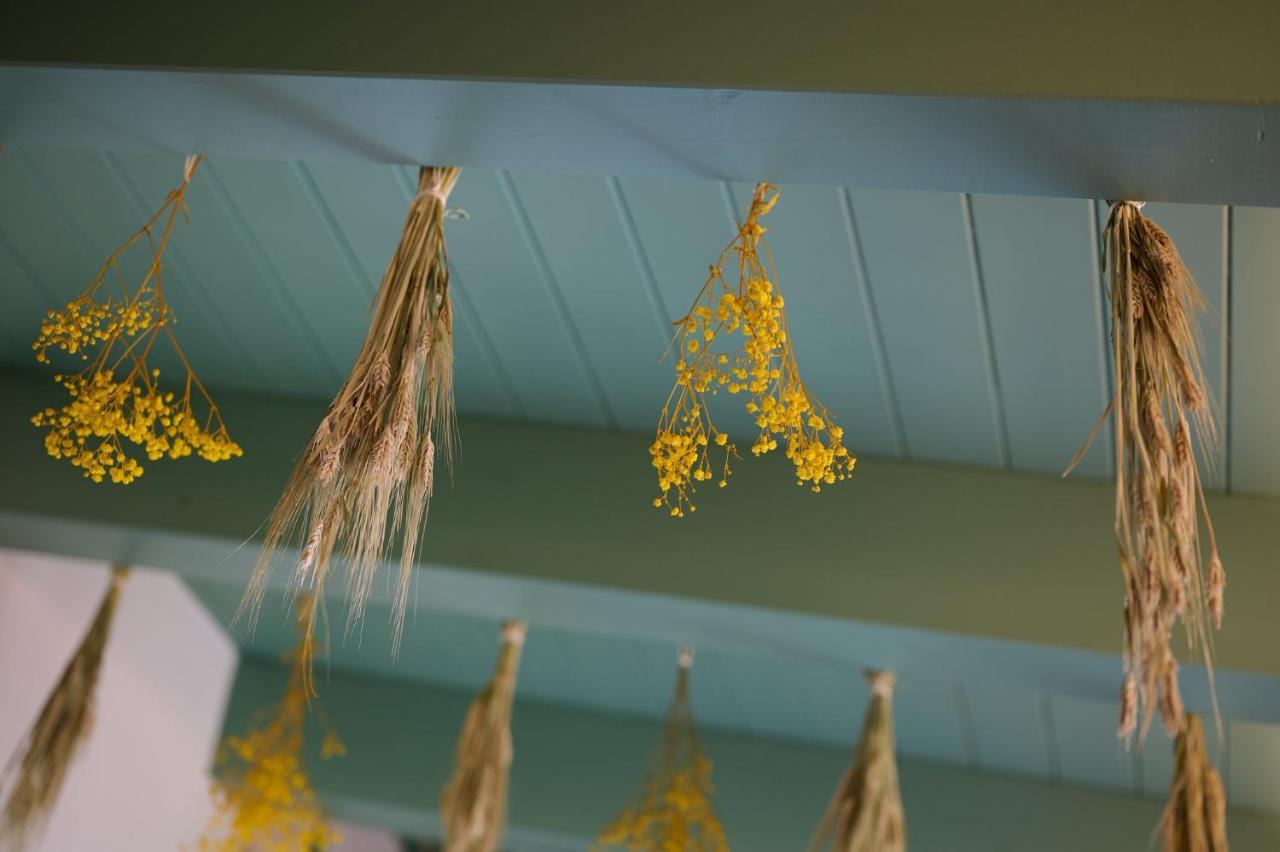 Villa Marengo Guest House Spinetta Marengo ภายนอก รูปภาพ
